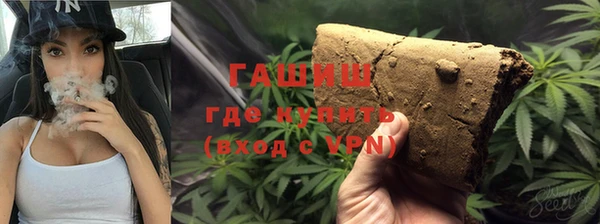 прущие грибы Абаза
