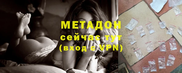 прущие грибы Абаза