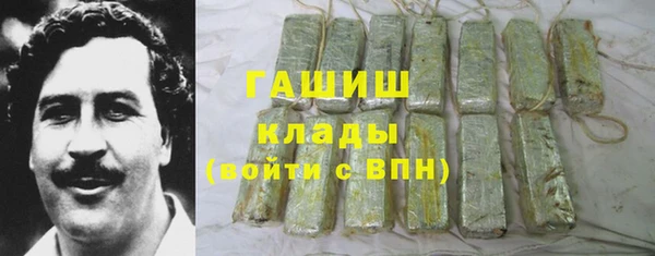прущие грибы Абаза