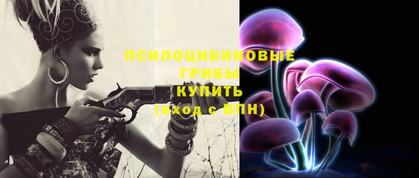 прущие грибы Абаза