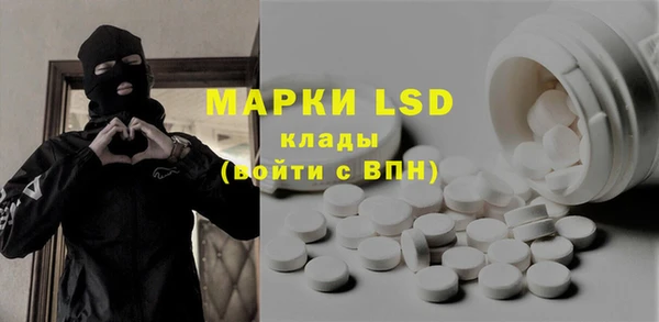 прущие грибы Абаза