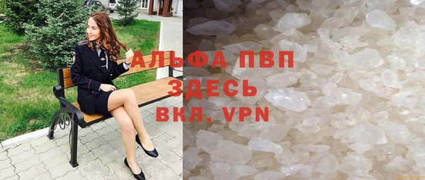прущие грибы Абаза