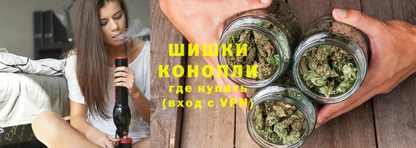 прущие грибы Абаза